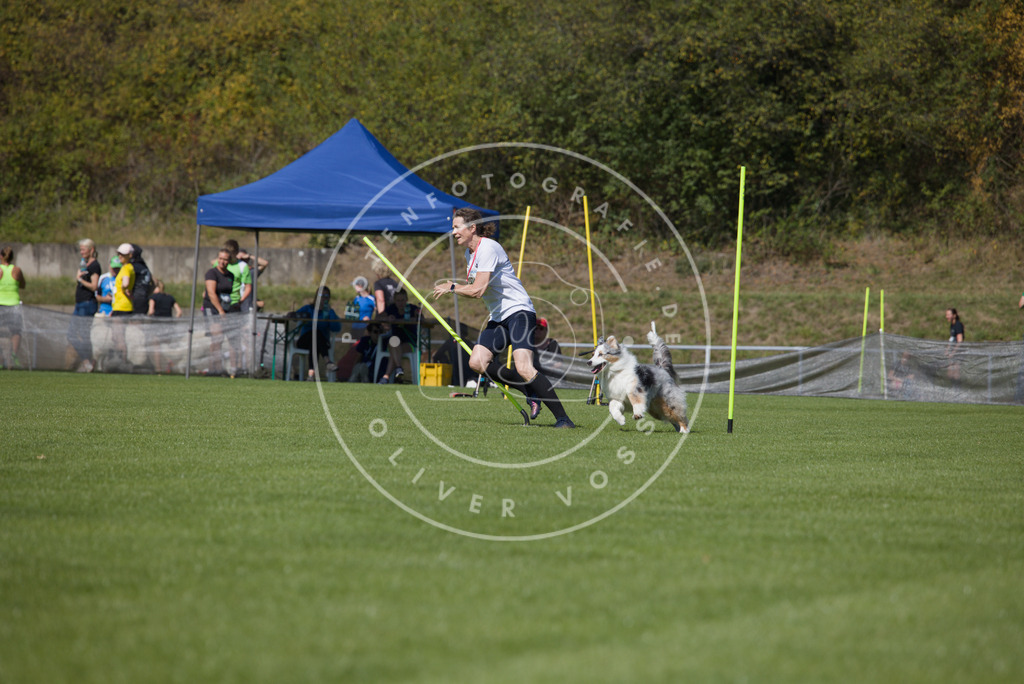 0L8A6712 | Hundefotografie, Tierfotograf, Pfotenfotografie, Fotoshooting Hund, Hunde Portrait, Hundesport, Hundeportraits, Heideshooting, Hunde, Sportfotograf, Hundefotograf, Turnierhundsport, THS,  - Realisiert mit Pictrs.com