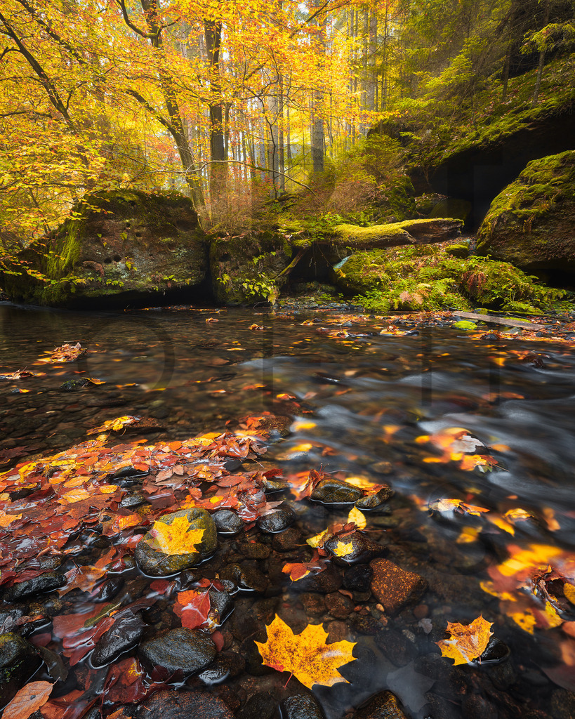 Ein Hans Fineart Original | Entdecke die Kunst von Hans Fineart - Fotografien für dein Zuhause. Verwandle deine Wände mit einzigartigen Kunstwerken und bringe die Schönheit der Welt in dein Leben. Bestelle jetzt und schaffe einen Ort der Inspiration und Eleganz.