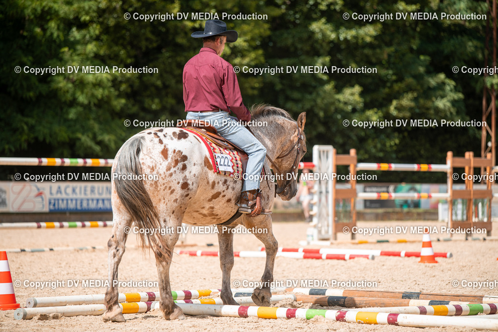 EWP_6782 | dv-media-shop - Realisiert mit Pictrs.com