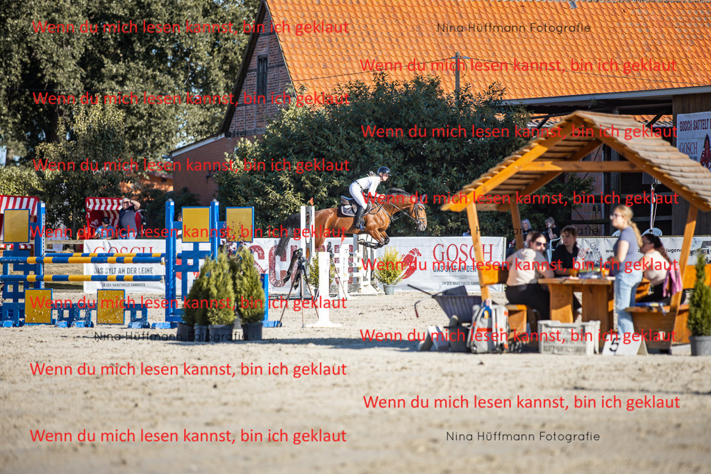 BK1A7685 | Turnierbilder Turnierfotos Nina Hüffmann Turnierfotografie Pferdefotografie Tierzeichnung Haustierzeichnung Pferdezeichnung Hundezeichnung Videograf  - Realisiert mit Pictrs.com