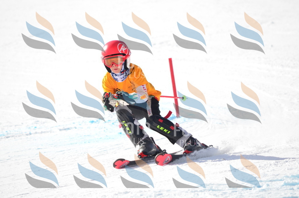 C7993 | holidayphoto