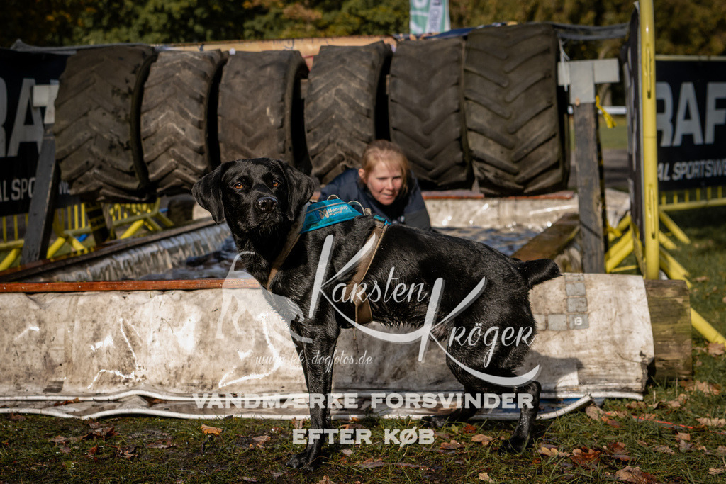 1355_ZZ93439 | kk-dogfotos