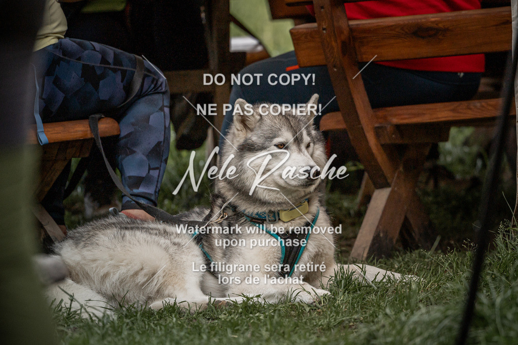 nelerasche_Do-spät_37 | nelerasche