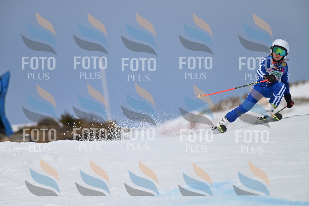 BGV_5901 | holidayphoto