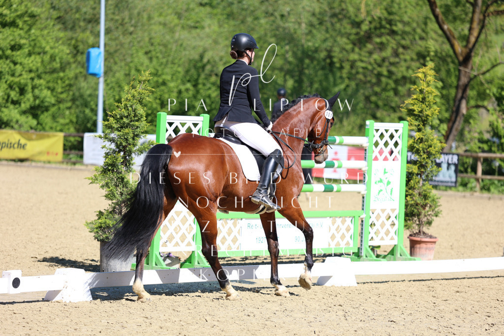 IMGT0648 | pl-fotografie