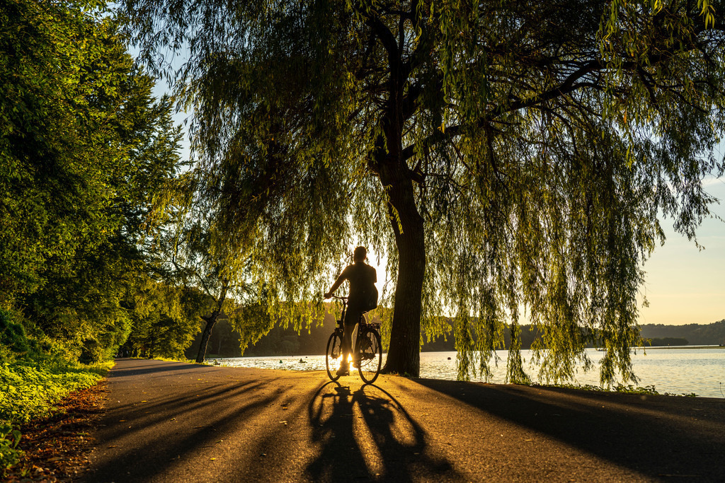 JT-220809 | Radfahren am Baldeneysee,  rund 14 Kilometer Rundkurs um den Ruhrstausee, sommerlicher Abend am Ostufer,  Essen,  NRW, Deutschland,  - Realisiert mit Pictrs.com