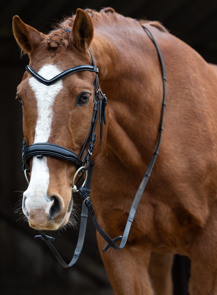 1B1A1386_F | Emotionale Pferde- & People-Fotografie rund um Heidelberg, Leimen & Umgebung. Natürliche Fotos von Pferd, Mensch & Familie. Jetzt Termin sichern!