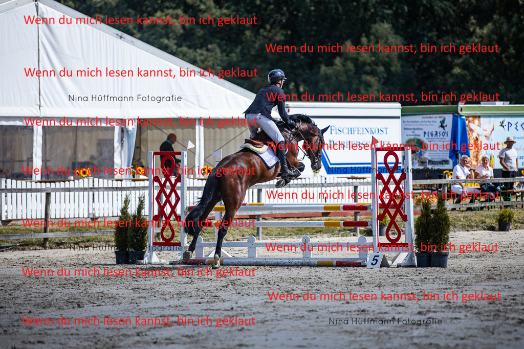 BK1A5163 | Turnierbilder Turnierfotos Nina Hüffmann Turnierfotografie Pferdefotografie Tierzeichnung Haustierzeichnung Pferdezeichnung Hundezeichnung Videograf  - Realisiert mit Pictrs.com