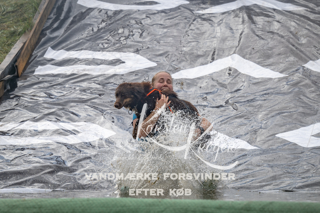 1105_ZZ92315 | kk-dogfotos