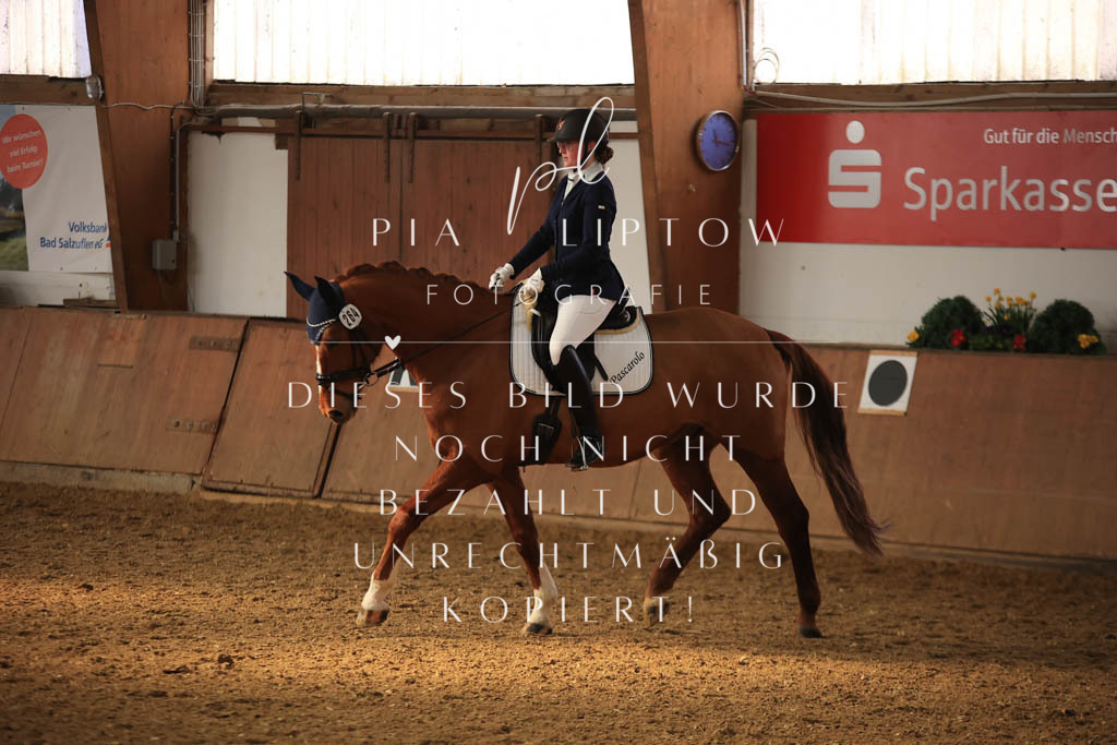 IMGT7682 | pl-fotografie