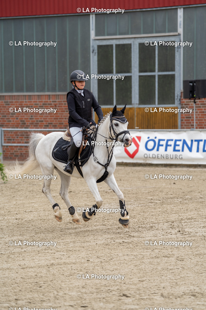 DSC07394 | Entdecke einzigartige Turnierfotos und persönliche Pferde- und Hundeportraits bei LA Photography. Für jeden Reiter und Pferd das perfekte Bild! Stöbere jetzt! - Realisiert mit Pictrs.com