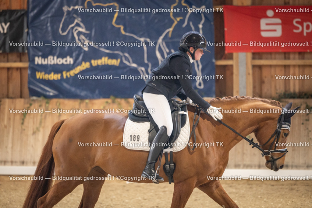 _D5A8415 | Emotionale Pferde- & People-Fotografie rund um Heidelberg, Leimen & Umgebung. Natürliche Fotos von Pferd, Mensch & Familie. Jetzt Termin sichern!