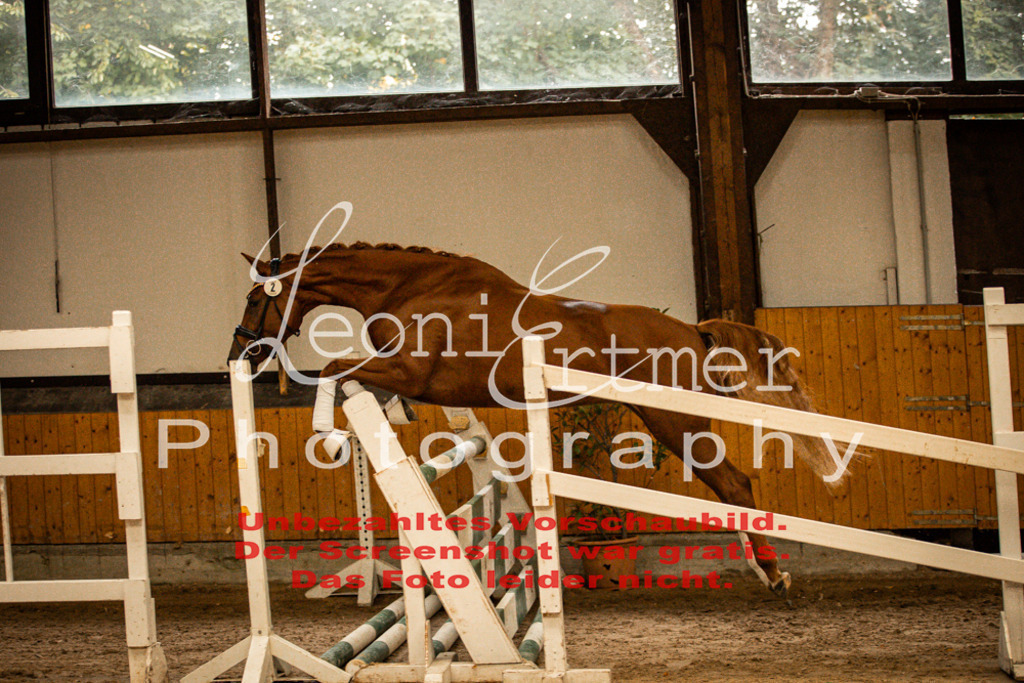 1FS_L00040 | Leoni Ertmer Photography - Realisiert mit Pictrs.com