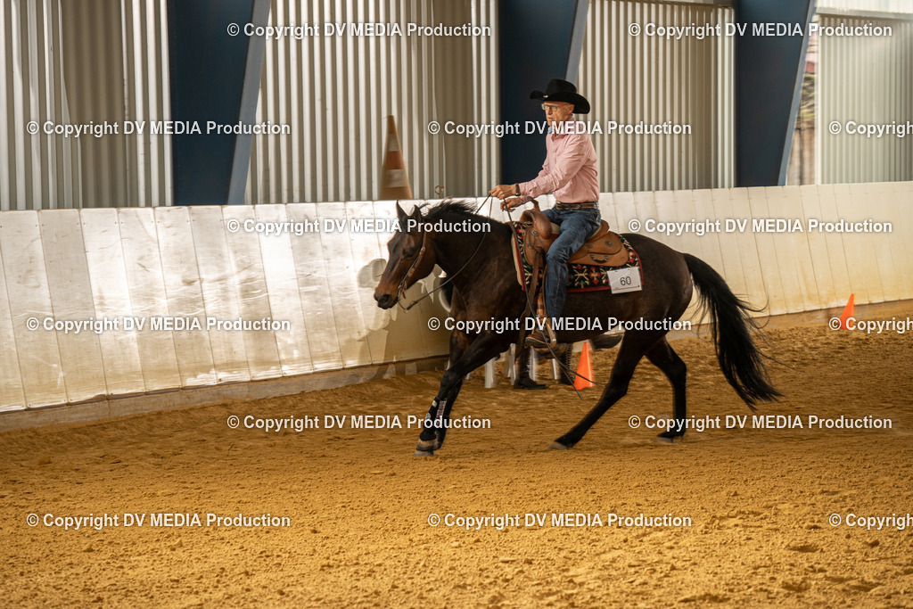 MIT01320 | dv-media-shop - Realisiert mit Pictrs.com