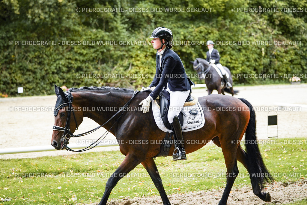 DSC02081 | Pferdegrafie