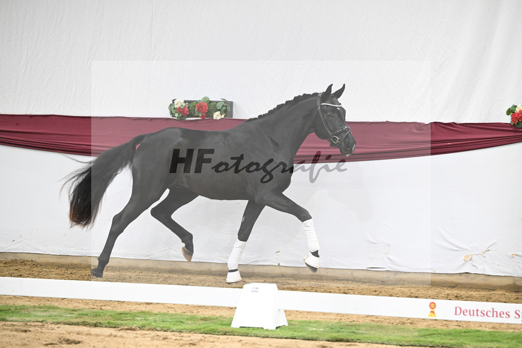 Kat-Nr. 37 St. Emilion x Quantensprung_Uwe Kraft_47251290 | hf-fotografie - Realisiert mit Pictrs.com