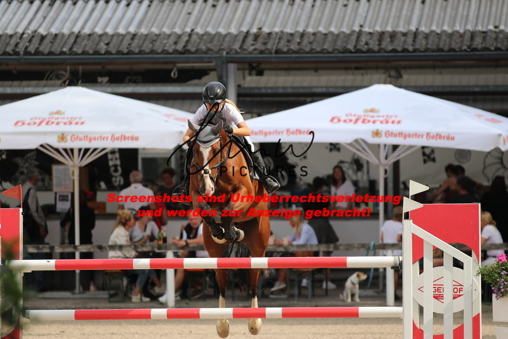 IMG_0757 | lmwpictures - Realisiert mit Pictrs.com