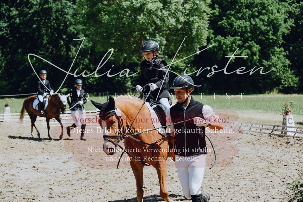 DSC_2612 | Pferde- und Turnierfotografie in Westsachsen. Pferdeportraits, Auftragszeichnungen und intuitive Kunst.