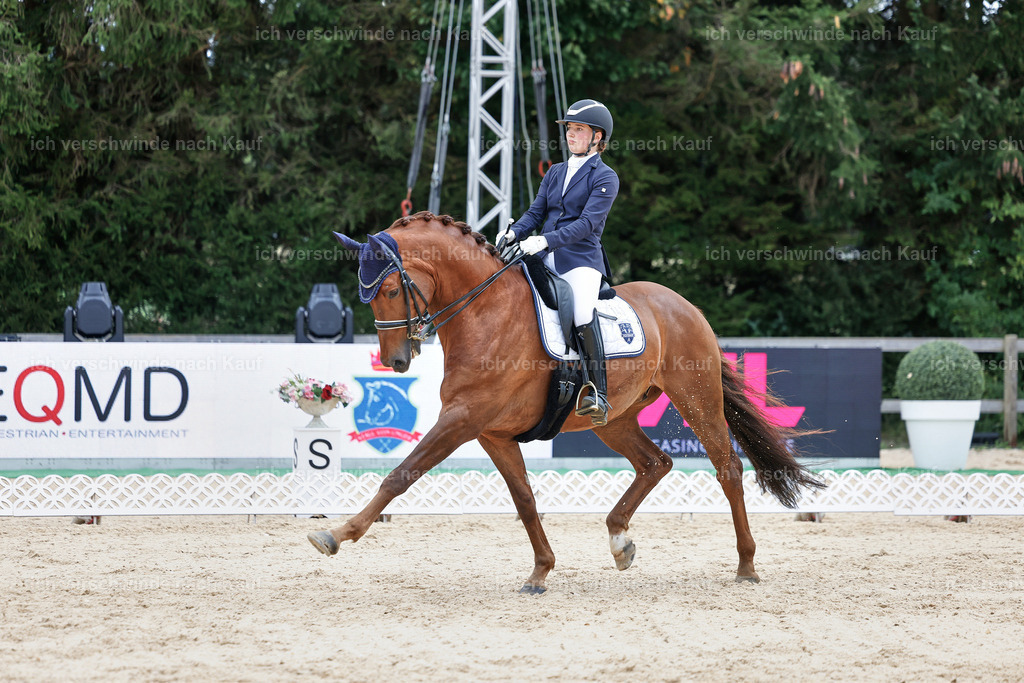 04_1-143-Dressur M__ -StoibPH-StoibPH-2688 | working equitationturnier fotograf videograf stoibphotography marixx film working equitation deutschland reitsport turnierfotografie eventfotografie equestrian events