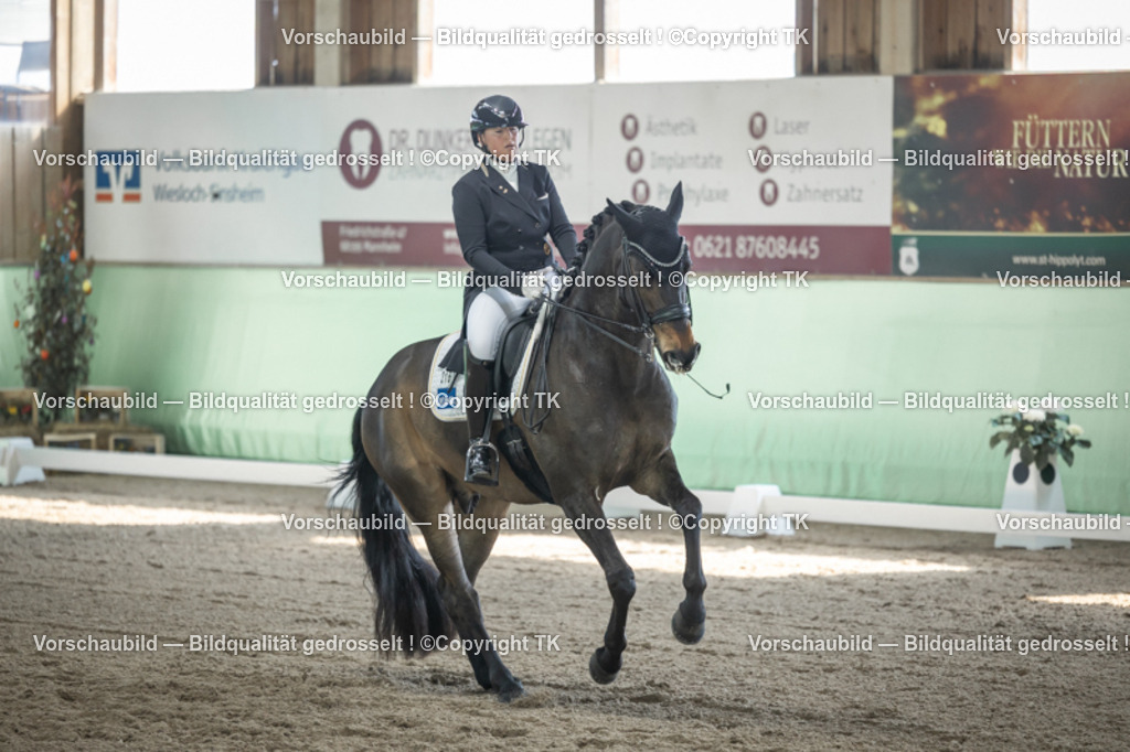 _D5A9496 | Emotionale Pferde- & People-Fotografie rund um Heidelberg, Leimen & Umgebung. Natürliche Fotos von Pferd, Mensch & Familie. Jetzt Termin sichern!