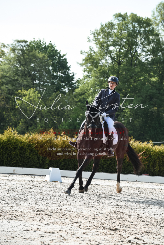 20230518_JK-Röhrsdorf-09-1019 | Pferde- und Turnierfotografie in Westsachsen. Pferdeportraits, Auftragszeichnungen und intuitive Kunst.