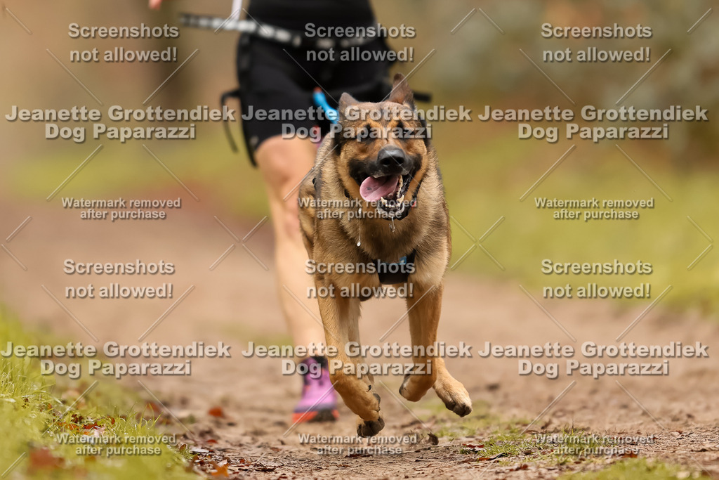 Dog Paparazzi - Speedhunter Mannheim  2025-194 | Dog Paparazzi Jeanette Grottendiek Fotografie & Videografie