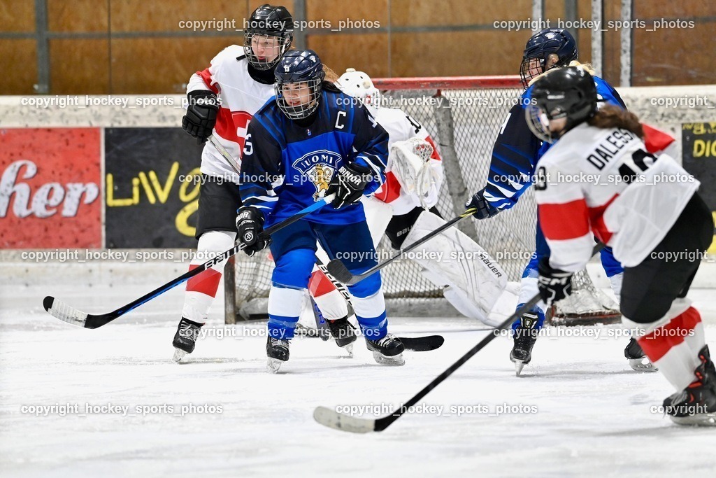 BST_3300 | hockey sports photos, Pressefotos, Sportfotos, hockey247, win 2day icehockeyleague, Handball Austria, Floorball Austria, ÖVV, Kärntner Eishockeyverband, KEHV, KFV, Kärntner Fussballverband, Österreichischer Volleyballverband, Alps Hockey League, ÖFB, 