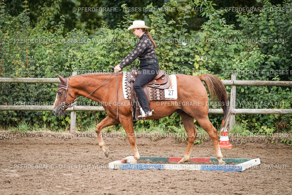 DSC03013 | Pferdegrafie