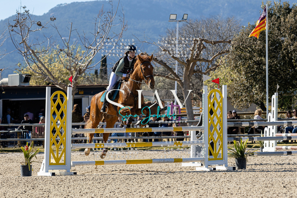 IMG_1270 | s-jay-photography - Realisiert mit Pictrs.com