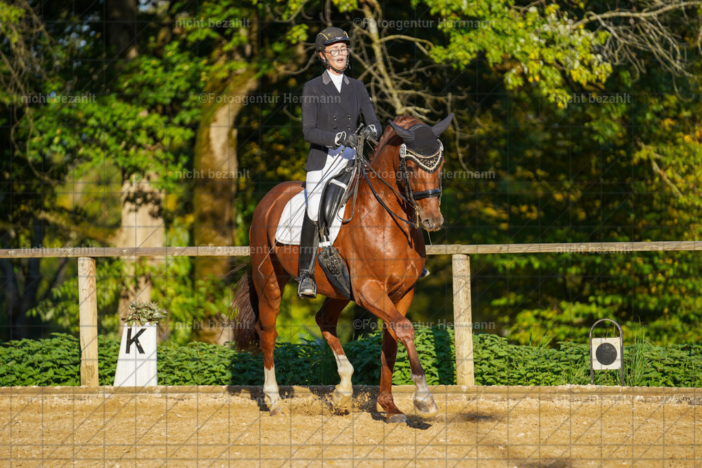 20221007-FAH00335 | Diessen am Ammersee, 2022, Dressur- und Springturnier, Reitsportbilder, Turnierfotografen Bayern, Pferdefotografen, Fotoagentur Herrmann, Turnierbilder