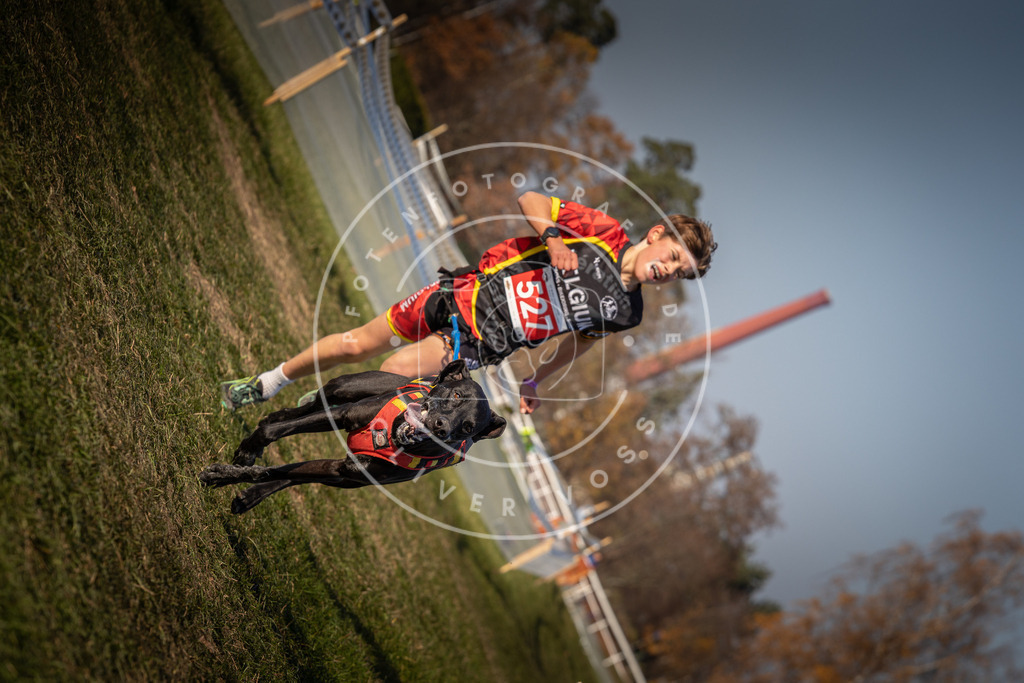 CaniXpix_0L8A8751 | Hundefotografie, Tierfotograf, Pfotenfotografie, Fotoshooting Hund, Hunde Portrait, Hundesport, Hundeportraits, Heideshooting, Hunde, Sportfotograf, Hundefotograf, Turnierhundsport, THS,  - Realisiert mit Pictrs.com