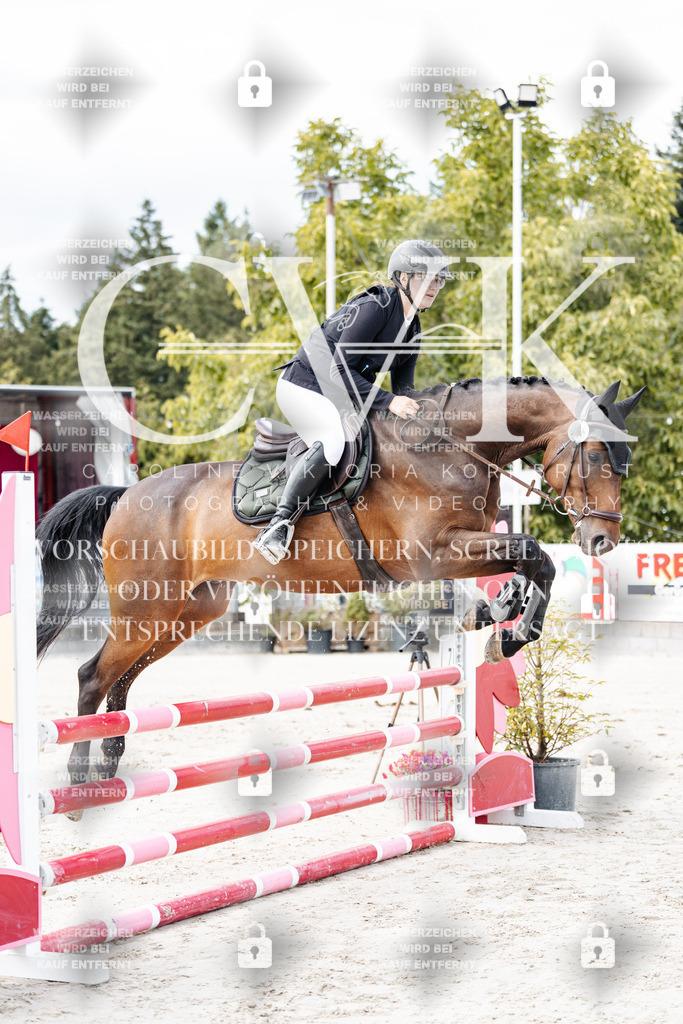 CK902242 | Turnierfotografie Pferdefotografie Trier Rheinland-Pfalz Pferdesport Reitsport Tierfotografie Sportfotografie Pferdevideo Pferdevideografie Equestrianvideography equestrianphotography  - Realisiert mit Pictrs.com