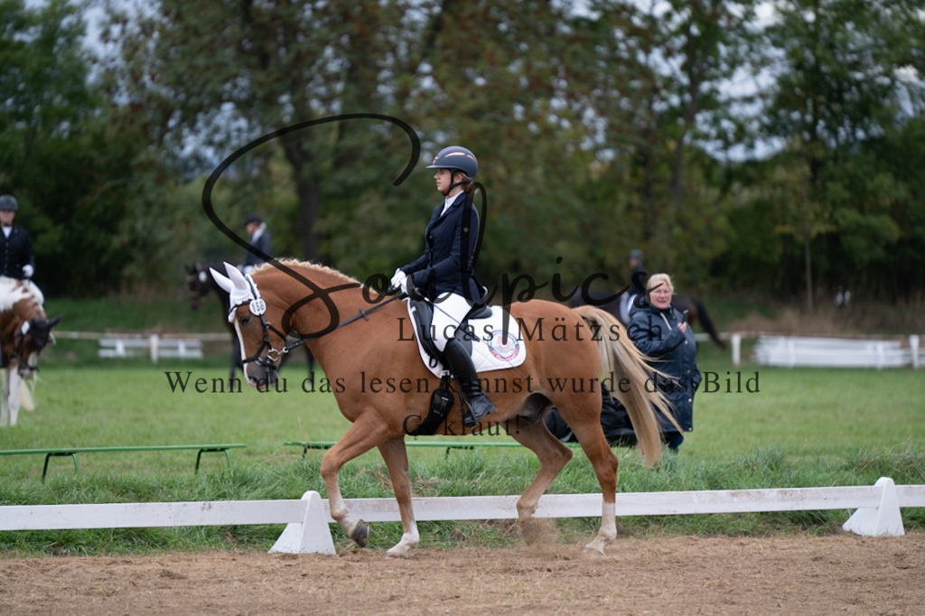 A7V04971 | Pferdefotograf