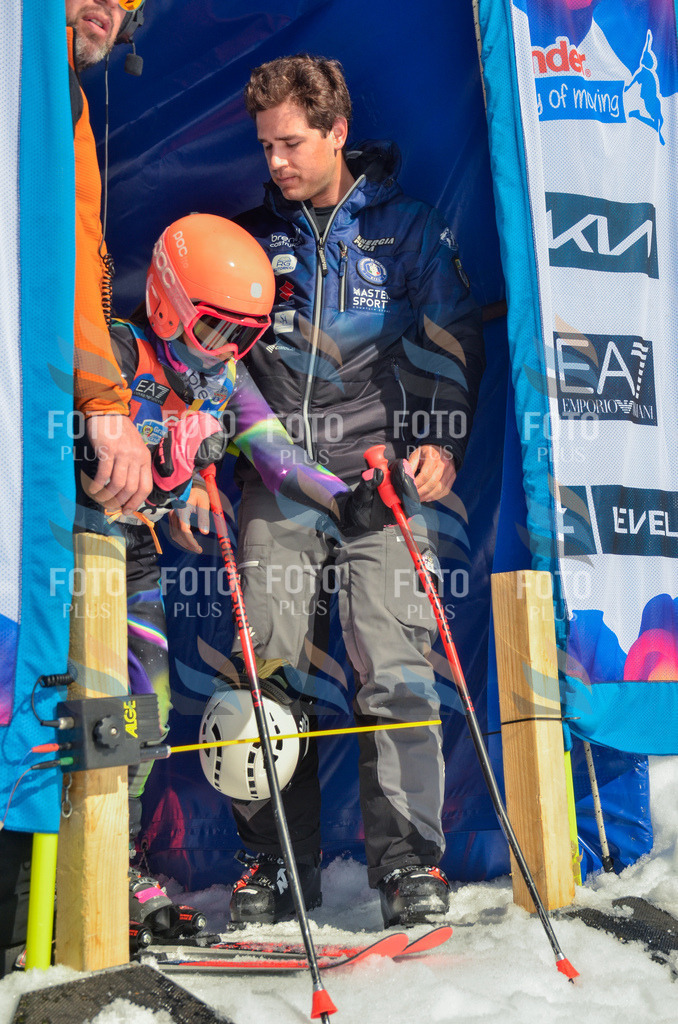 _ELE5156 | holidayphoto