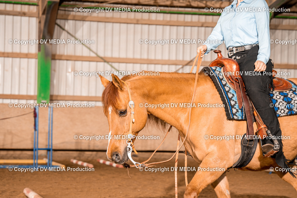 BA400136 | dv-media-shop - Realisiert mit Pictrs.com