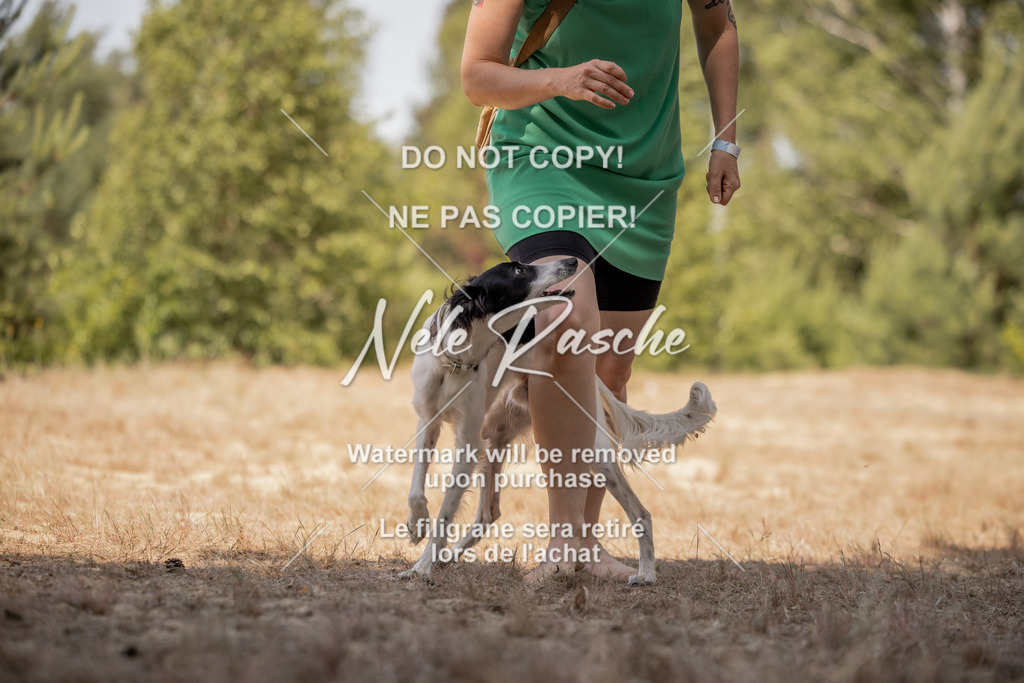 nelerasche_soDD2_425 | nelerasche