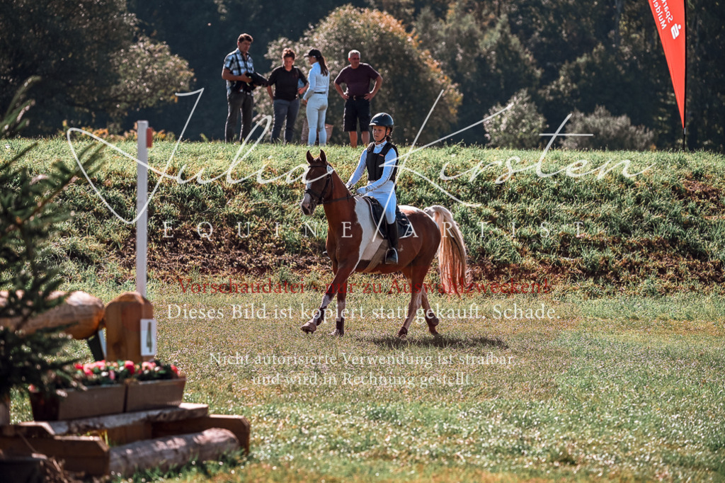 DSC_1016 | Pferde- und Turnierfotografie in Westsachsen. Pferdeportraits, Auftragszeichnungen und intuitive Kunst.