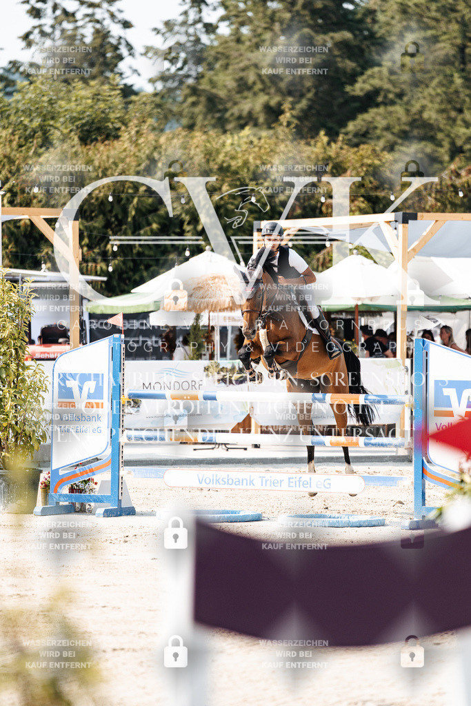 CK902101 | Turnierfotografie Pferdefotografie Trier Rheinland-Pfalz Pferdesport Reitsport Tierfotografie Sportfotografie Pferdevideo Pferdevideografie Equestrianvideography equestrianphotography  - Realisiert mit Pictrs.com