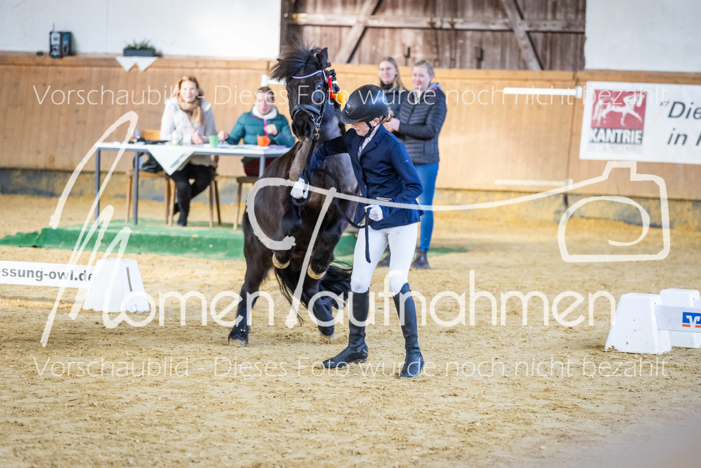 Sth-WBO25-Führ-WB-091 | MomenTaufnahmen Pferdesportfotos