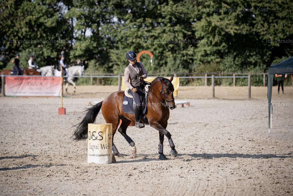 WS_SP_46_SinaFilmArt_IN09458 | working equitationturnier fotograf videograf stoibphotography marixx film working equitation deutschland reitsport turnierfotografie eventfotografie equestrian events