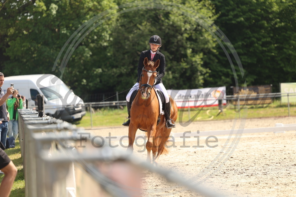 994A6663 | sabrinanicolaifotografie - Realisiert mit Pictrs.com