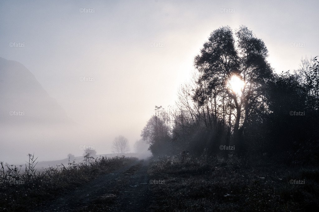 morgennebel-jogg-10-11_020_1-k | Fatzi Bilder-Archiv! 
Die Bilder sind für private Nutzung lizenzfrei. Die kommerzielle Nutzung ist möglich und erwünscht, jedoch bitte ich um vorherige Kontaktaufnahme per E-Mail (info@fatzi.at) oder unter +43 650 7828269 - Realisiert mit Pictrs.com