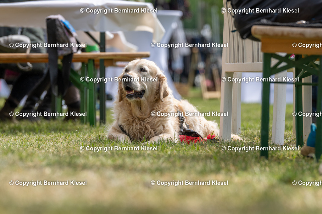 A1S05486 | foto-team-bernhard - Realisiert mit Pictrs.com