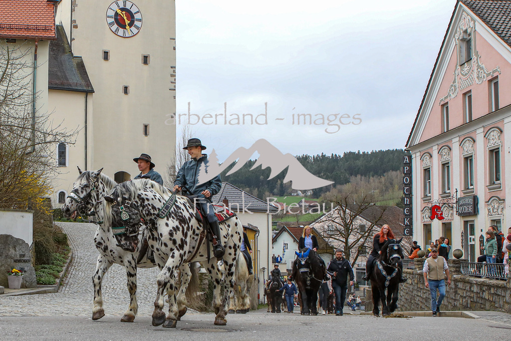 OE7A2336 | Medien- Sport- Entertainmentfotos