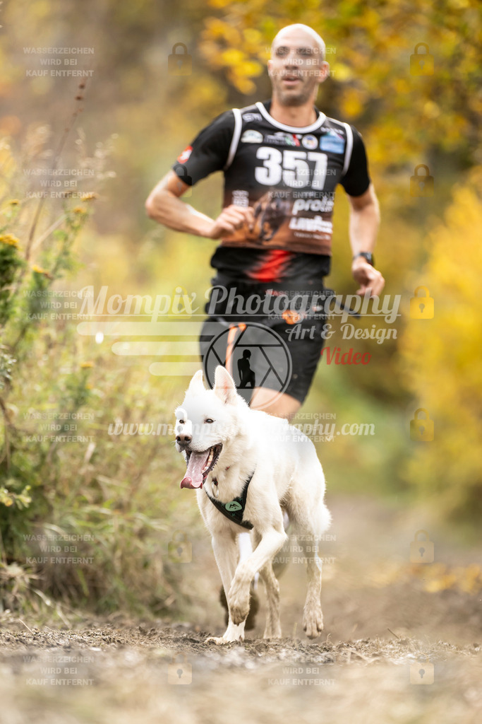 MompixPhotography_ICF_WC_2024_SA_Run_-297 | PayLife