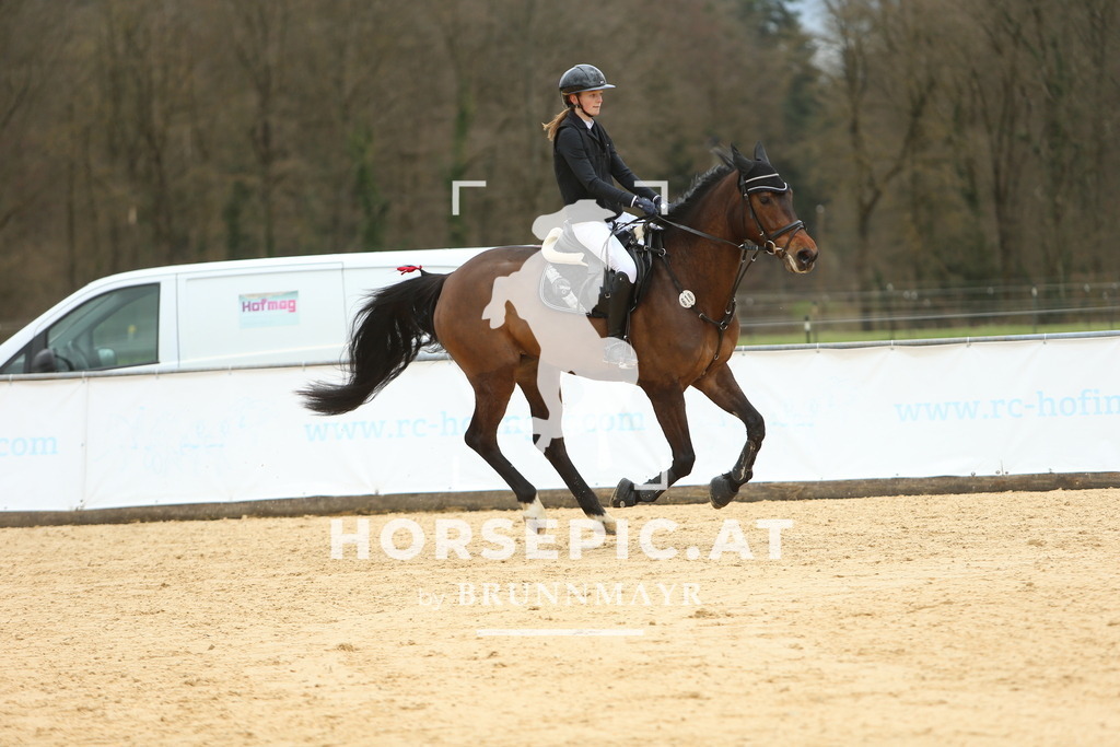 DL2Q2096 | Willkommen bei Brunnmayr - Design & Fotografie – Ihrem Spezialisten für Reitturniere und Pferdeveranstaltungen in Oberösterreich, Salzburg und Bayern! Seit über 17 Jahren sind wir leidenschaftlich dabei.