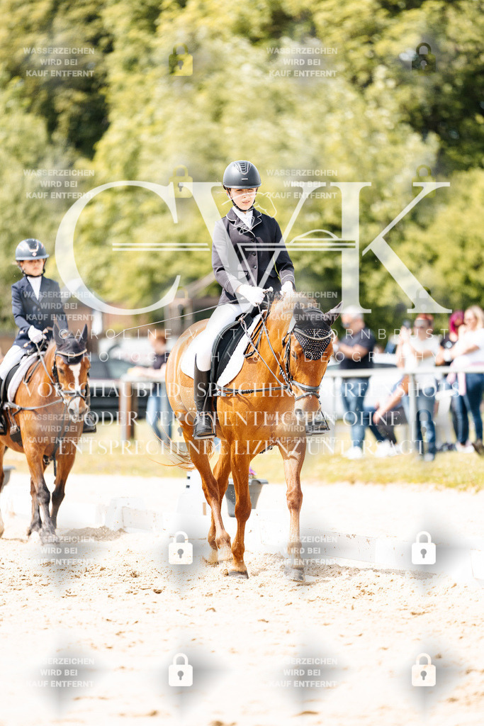 CK902408 | Turnierfotografie Pferdefotografie Trier Rheinland-Pfalz Pferdesport Reitsport Tierfotografie Sportfotografie Pferdevideo Pferdevideografie Equestrianvideography equestrianphotography  - Realisiert mit Pictrs.com