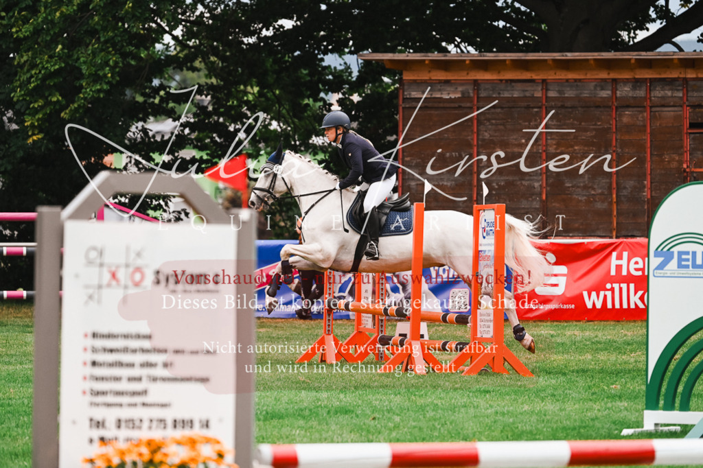 DSC_5945 | Pferde- und Turnierfotografie in Westsachsen. Pferdeportraits, Auftragszeichnungen und intuitive Kunst.