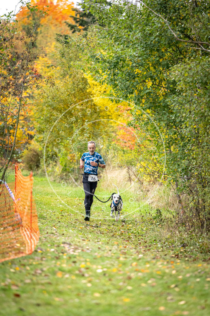 Pfotenfotografie_DV3A1889 | Hundefotografie, Tierfotograf, Pfotenfotografie, Fotoshooting Hund, Hunde Portrait, Hundesport, Hundeportraits, Heideshooting, Hunde, Sportfotograf, Hundefotograf, Turnierhundsport, THS,  - Realisiert mit Pictrs.com