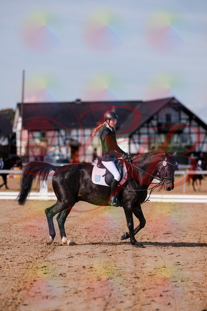 2026_10_03_Siefer-Hof_115747_Z81_98481990 | Professionelle Reitsport-, Turnier- und Eventfotografie von Robert Broda. Galerien mit ausgewählten und bearbeiteten Bildern direkt online ansehen und bestellen.